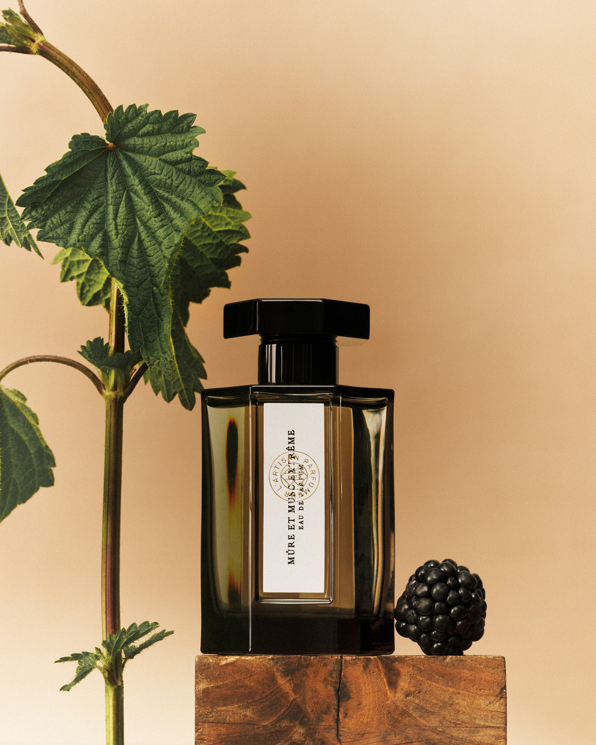 L'Artisan Parfumeur / Evergreen - © François Coquerel